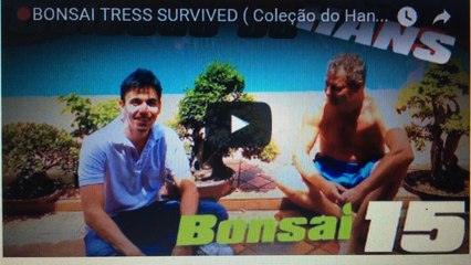 BONSAI TRESS : Exposição de Bonsai (Coleção do Hans)- BonsaiCurso # 14