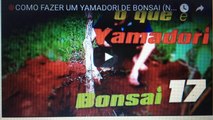 COMO FAZER  YAMADORI DE BONSAI (Noções básicas) -BonsaiCurso #16