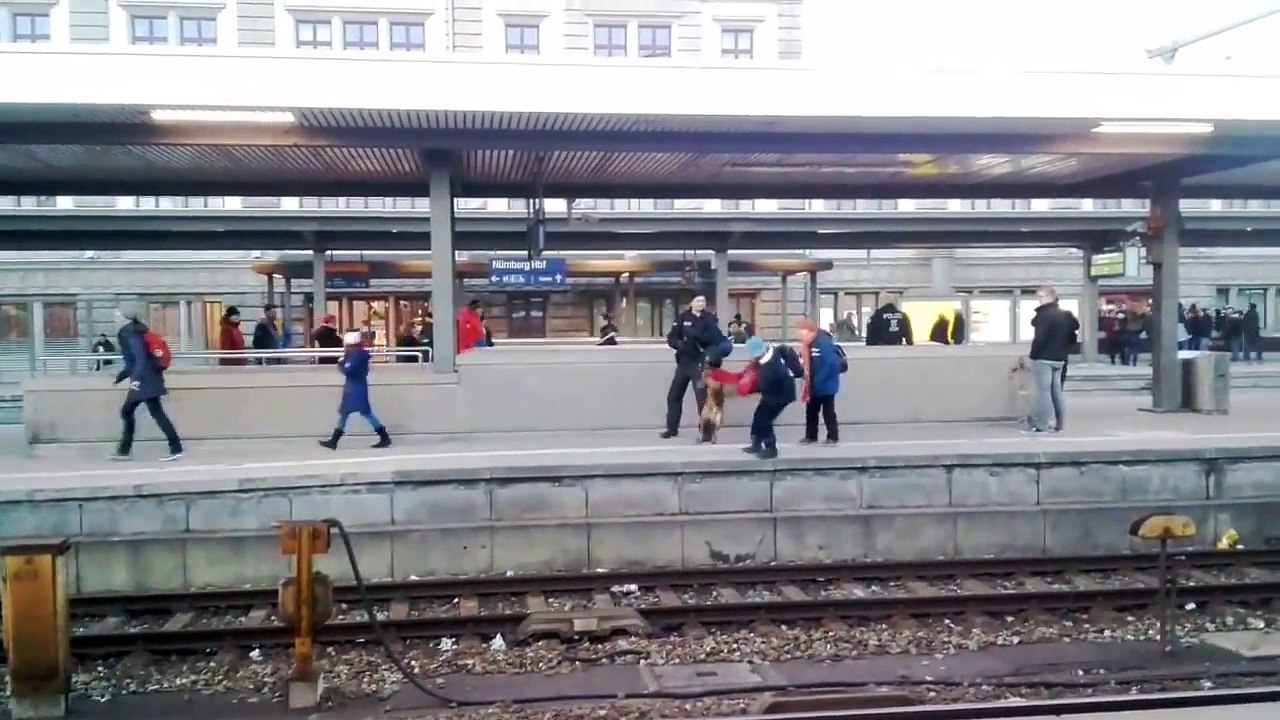 Un chien policier fait tomber une femme sur une voie ferrée