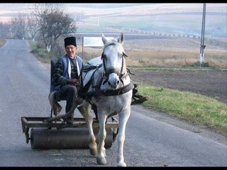 Braca bez Gaca - Nema Leba bez Motike