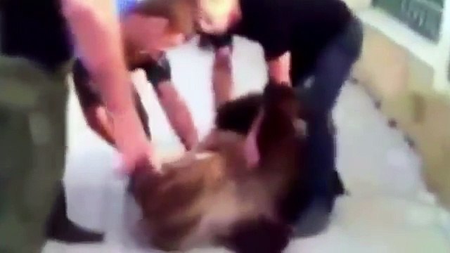 Самые новые угарные приколы! Подборка Приколов 2015