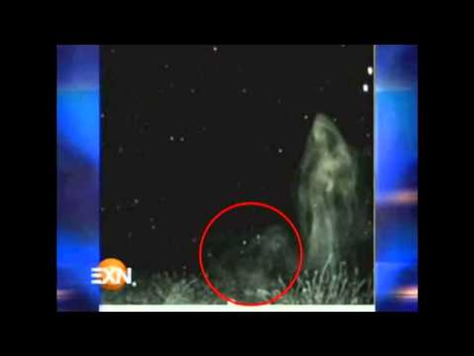 ¡Seres de luz entre nosotros!