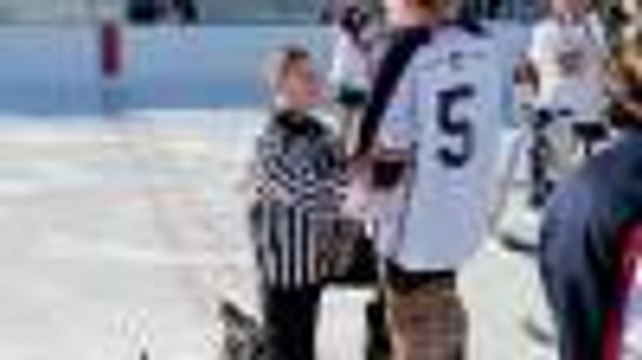 Hockey Puck Romance: Player Says 'Yes' To The Ref