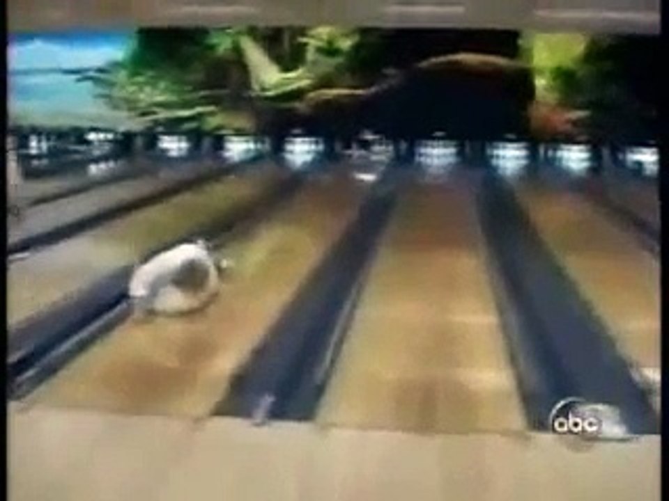 смешные приколы юмор