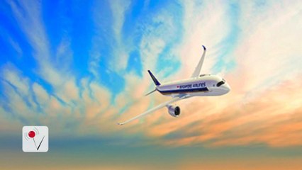 Singapore Airlines Flight Attendant Found Dead in Hotel Room