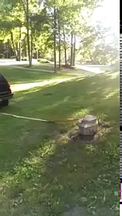 Неудачно смыкнул пенёк
