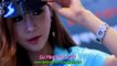 New Song 2017 Mandarin Chinese Disco House Music - Jiao Ni Yi Sheng My Love Remix 2017 by DJ Pink Skw (LJP)