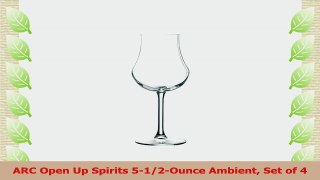 ARC Open Up Spirits 512Ounce Ambient Set of 4 0c1fa939