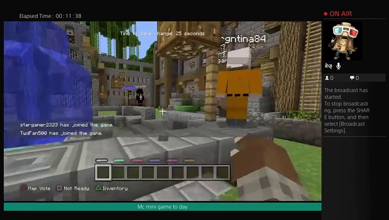 Mc mini game (17)