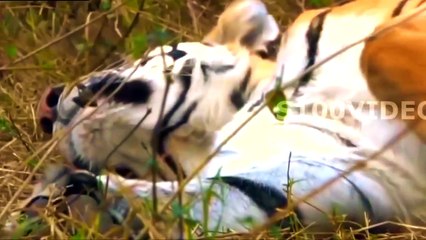 КЛАССНЫЕ ПРИКОЛЫ 2017 УГАРНЫЕ ПРИКОЛЫ ДЛЯ ВЗРОСЛЫХ № 758