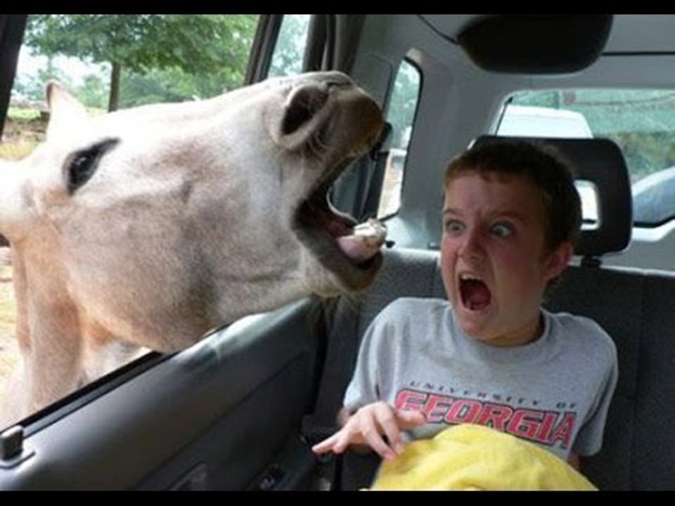 Scare Prank - Sustos Engraçados