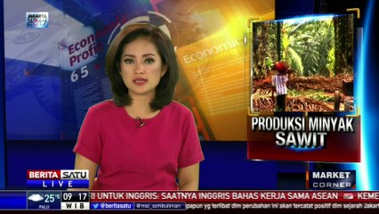 Gapki: Sepanjang 2016, Produksi Minyak Sawit Turun 3 Persen