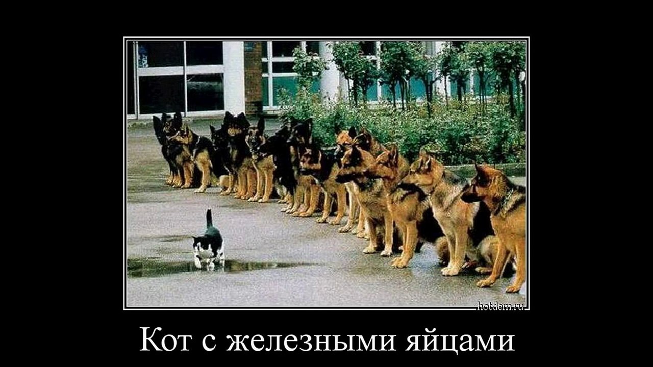 Демотиваторы 18  ч8