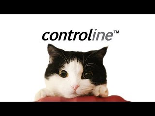 เส้าหลินและ Controline Cat กับกิจกรรม super cat super control