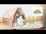 Theycallmemeaow - ใครสั่งไป by Homie EP.2