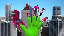 Red Hulk Superman Cartoon Finger Family Rhyme | Spiderman Finger Family Nursery Rhymes