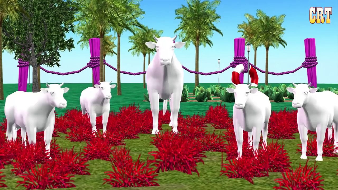 Cow Colourful Colour Song || Learning Children...