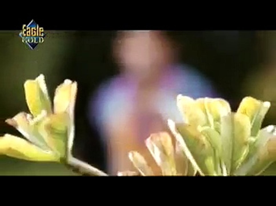 Na Kajre Ki Dhar Eagle Gold Jhankar