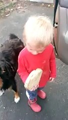 Sometimes A Busted Sandwich Is The Last Straw