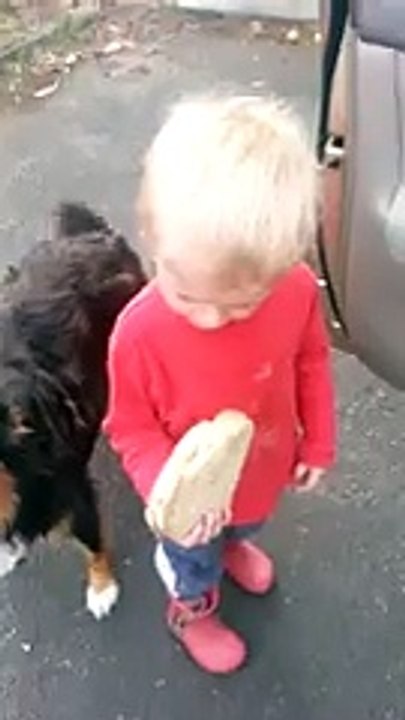 Sometimes A Busted Sandwich Is The Last Straw