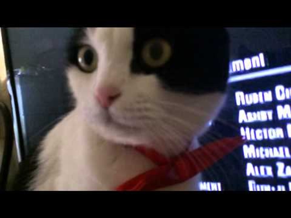 Theycallmemeaow - Donut Selfie