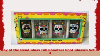 Day of the Dead Glass Tall Shooters Shot Glasses Set of 4 2c27dc6c