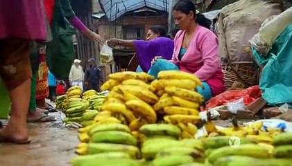 NOVA S43 » E13- Himalayan Megaquake - Jan 27, 2016