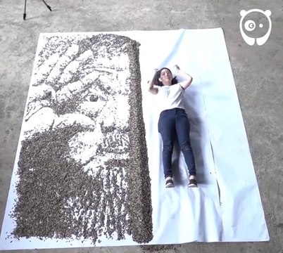 Elle peint avec des graines de tournesol! Résultat incroyable