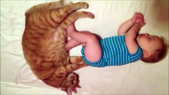 Petit massage des fesses pour dormir. Chat et bébé adorables