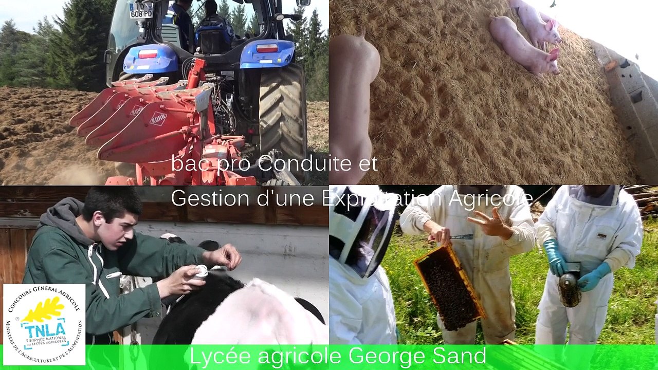 TNLA 2017 George Sand : Ivoire au pays des sucs