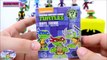 Surprise Play Doh Funko Mystery Minis Marvel DC TMNT - Surprise Egg and Toy Collector SETC