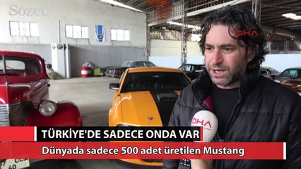 Türkiye'de sadece onda var