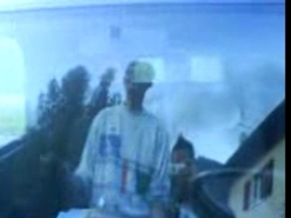 Delire sur parbrise daixam