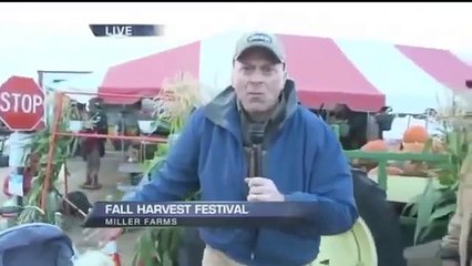 Ах уж этот непредсказуемый  Прямой эфир  Приколы