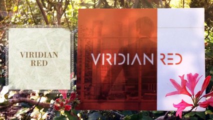 下载视频: Viridian Red Fraud Moniterd By Viridian Red - The Best Real Estate Company