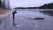 Ils aident un élan coincé dans un lac gelé