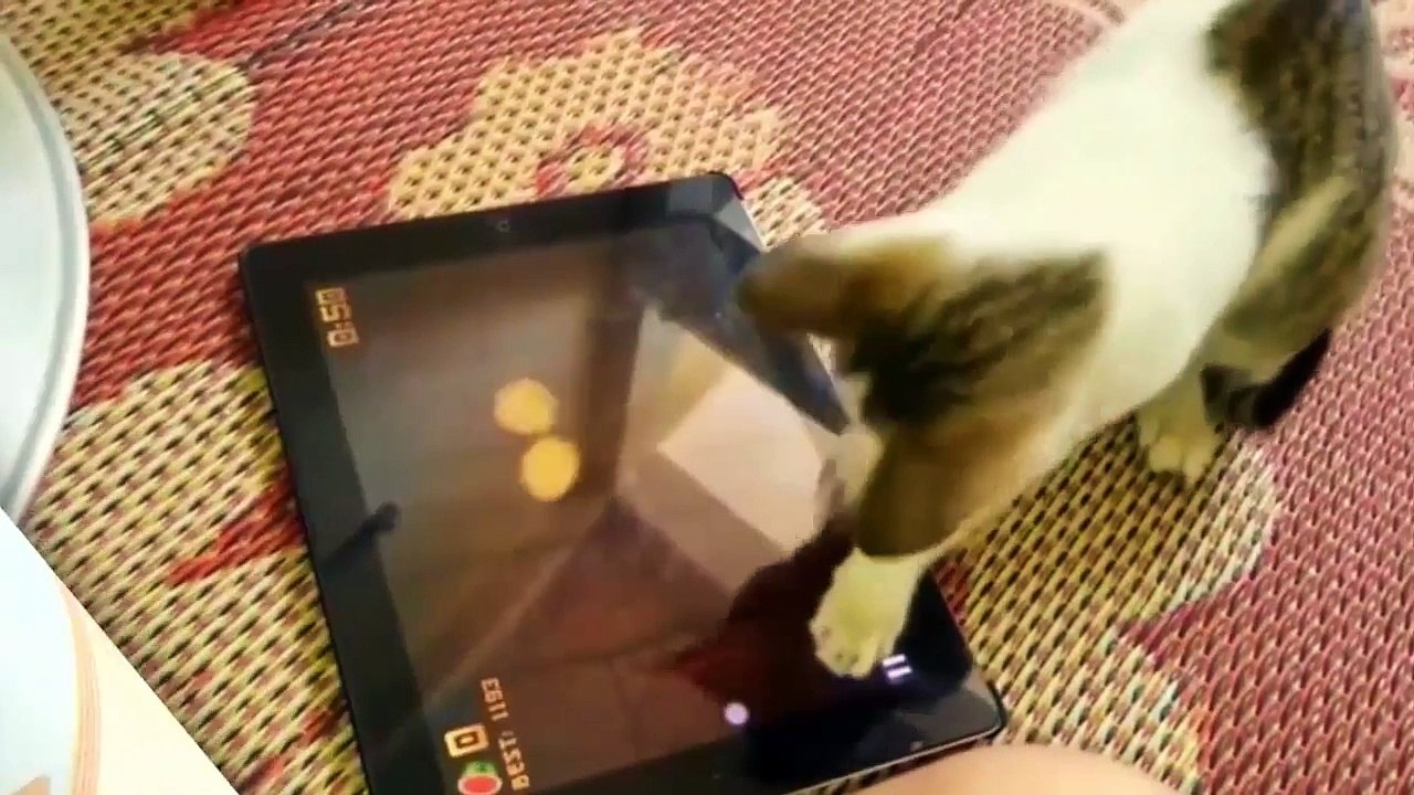 Взрослые Приколы ! Сборка самых смешных приколов 2017 Январь! Подборка приколов # 10