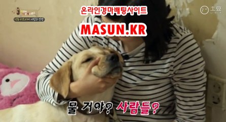 에이스경마 ◐ MaSUN 쩜 K R ◑ 에이스경마