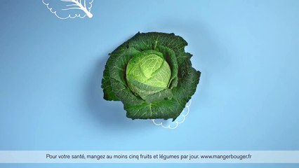 Business pour Illico Fresco - «Les repas de la semaine sans se prendre le chou !» - février 2017