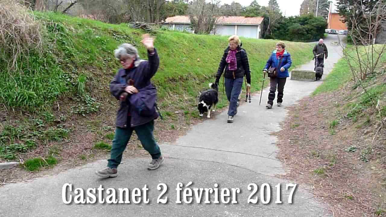 Castanet-02-02-2017