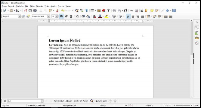 20 Ders - LibreOffice Write Klavye Kısa Yolları - Metinde kelime kelime atlayarak hareket etme