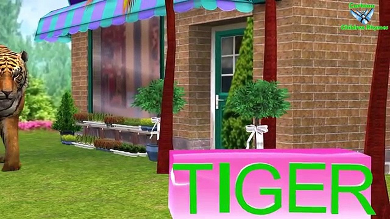 Tiger Vs Bear Nursery Rhymes Collection || 3d Animation Song For Children Rhymes