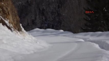 Rize - Doğum Yapmış Keçiyi Sırtına Alan Hamdu Sena'ya Dha Ekibi Ulaştı