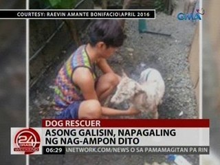 24 Oras: Asong galisin, napagaling ng nag-ampon dito