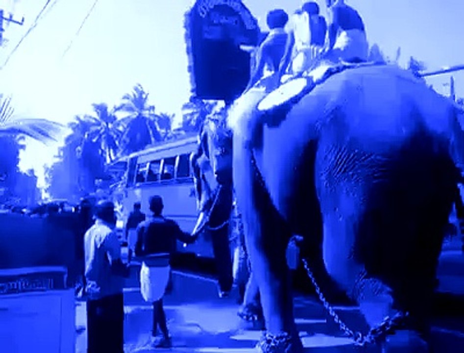 Kon kehta hai kida sirf insano me hota hai