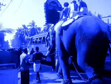 Kon kehta hai kida sirf insano me hota hai