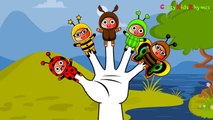 Finger Family Rhyme | BEE Finger Family Song | Nursery Rhymes Songs
