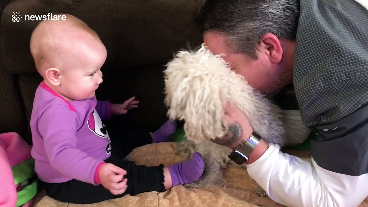 Baby's adorable reaction to meeting family dog for the first time