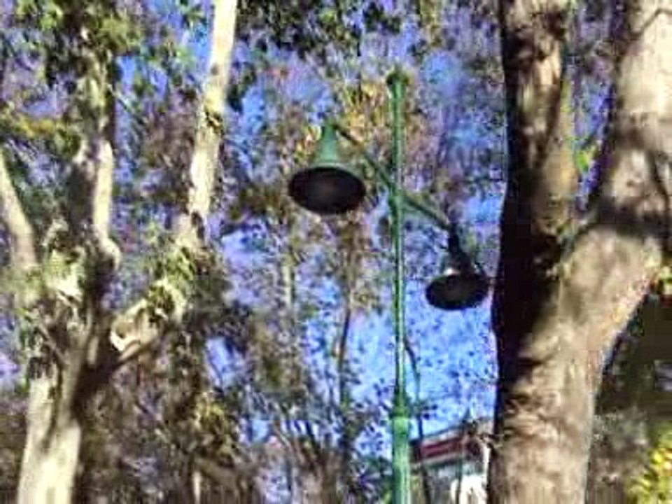 TOPLUMSAL KURTULUŞ (GEZİ DİRENİŞİNDE YİTİRDİĞİMİZ CAN FİDANLAR ANISINA) BEDRAN CEBİROĞLU