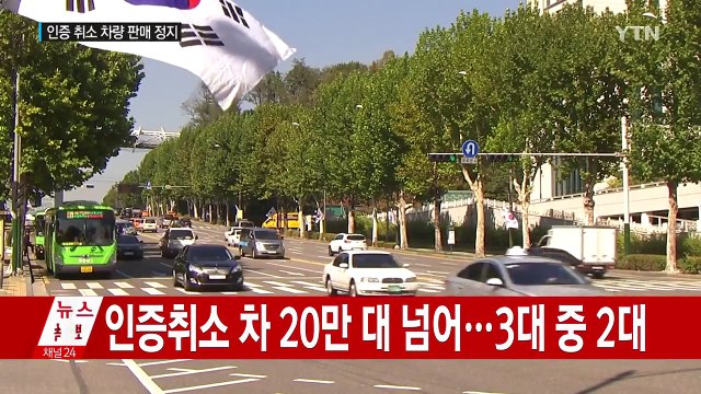 정부, 폭스바겐에 강력 행정처분...80개 모델 '판매 정지' / YTN (Yes! Top News)